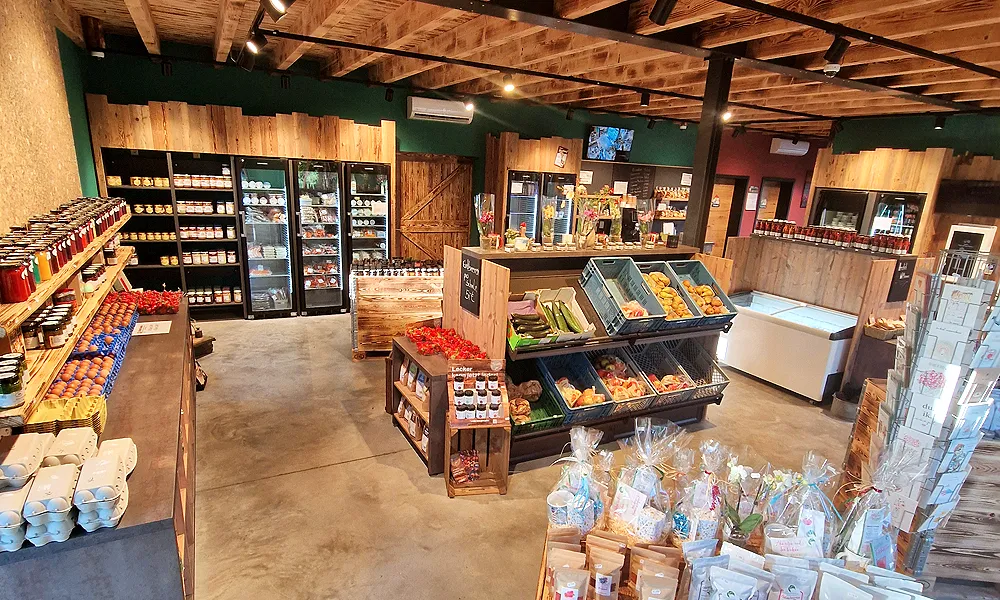 Coldinne Freilandeier